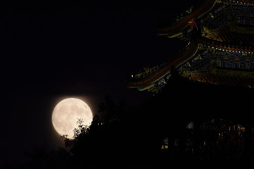中秋夜赏花灯 特色花灯亮相岭南民俗文化节