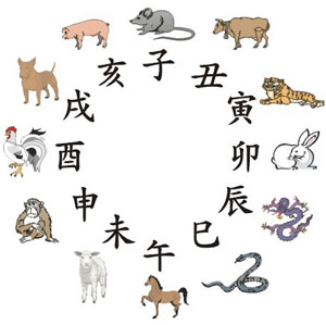 湖南卫视《非常靠谱》引热议 解密生肖与姓氏 湖南卫视《非常靠谱》引热议 解密生肖与姓氏