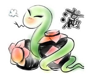 蛇为什么被称为“小龙”? 蛇为什么被称为“小龙”?