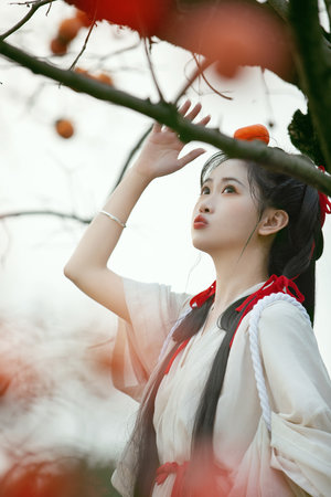 美丽的姑娘免费版在线观看